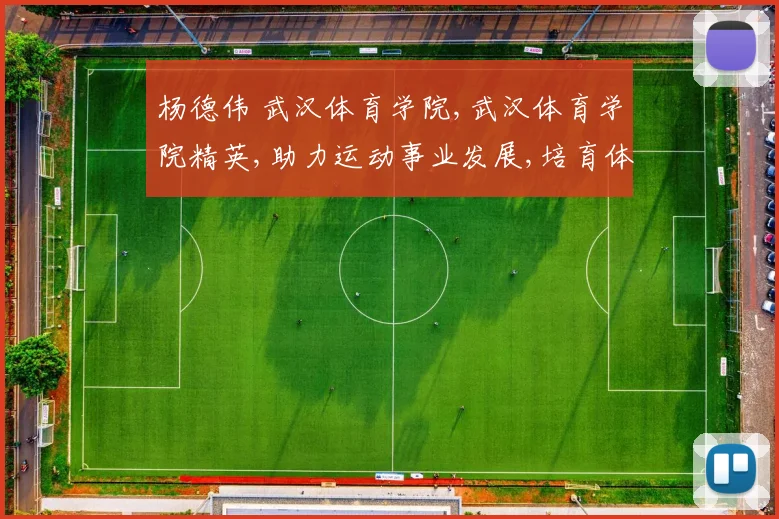 杨德伟 武汉体育学院,武汉体育学院精英,助力运动事业发展,培育体育新秀。
