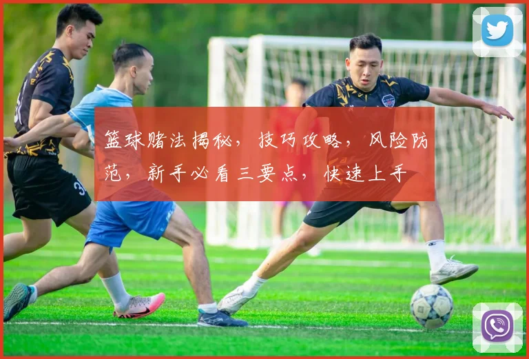 篮球赌法揭秘，技巧攻略，风险防范，新手必看三要点，快速上手